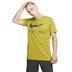 Nike Dri-Fit Trainings Athlete Graphic Erkek Tişört