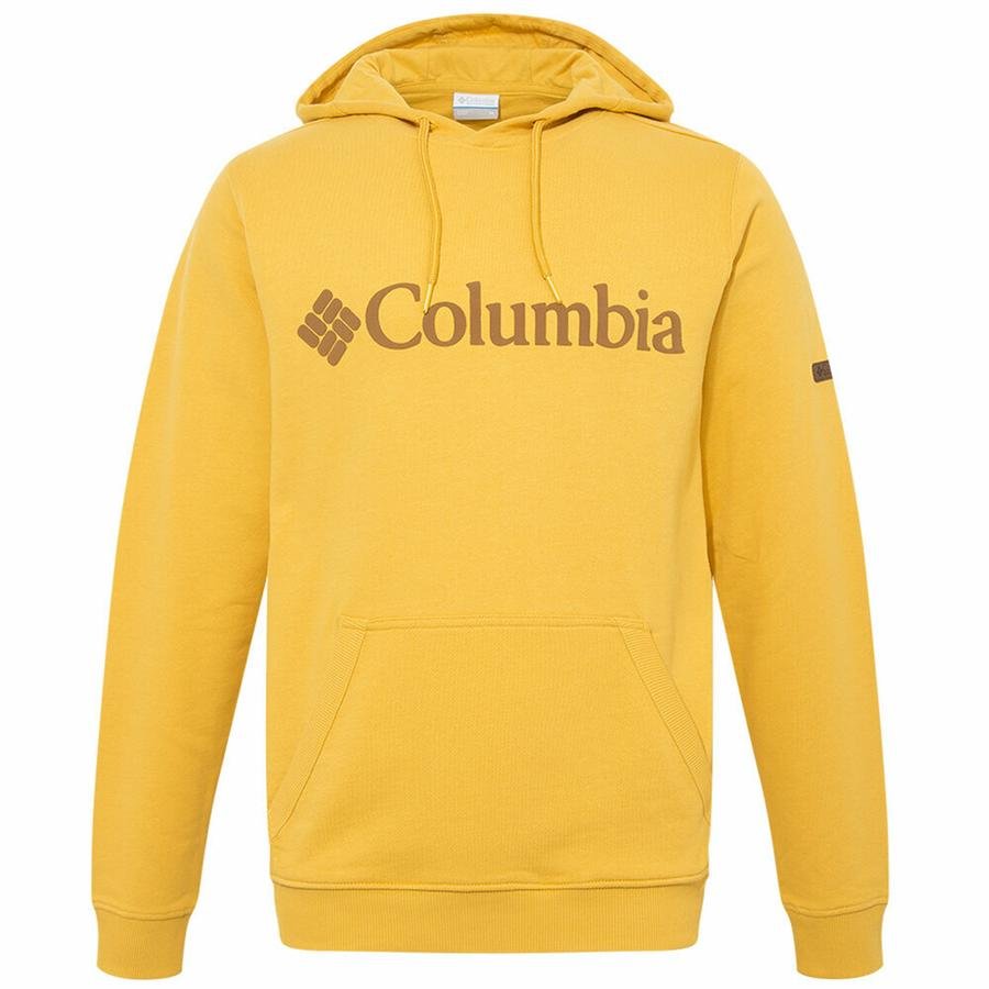  Columbia CSC Basic Logo II Hoodie Erkek Sweatshirt