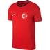 Nike Türkiye Crest Tee SS18 Erkek Tişört