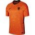 Nike Netherlands 2020-2021 İç Saha Erkek Forma