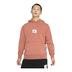 Nike Jordan Flight Fleece Graphic Hoodie Erkek Sweatshirt