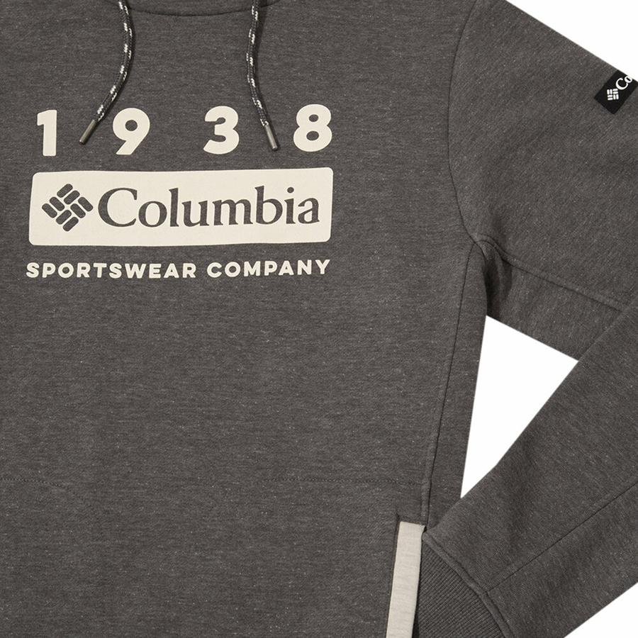  Columbia Lodge Hoodie Erkek Sweatshirt