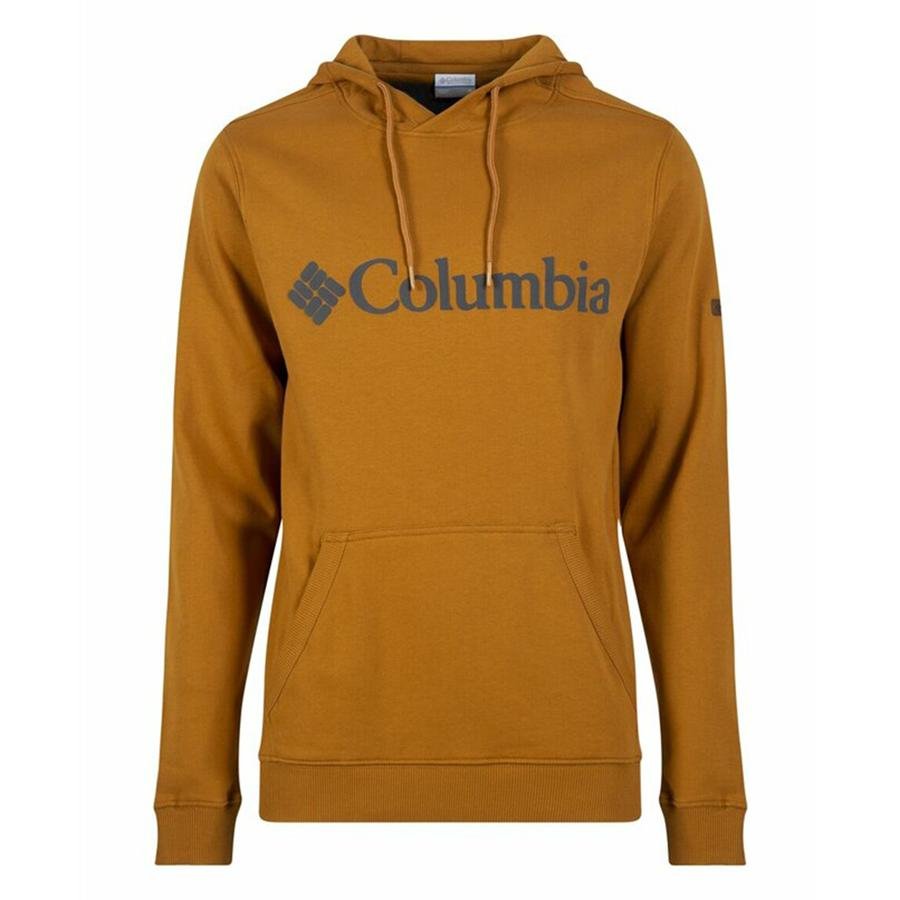  Columbia CSC Basic Logo™ Hoodie Erkek Sweatshirt