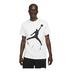 Nike Jordan Jumpman Air Short-Sleeve Erkek Tişört