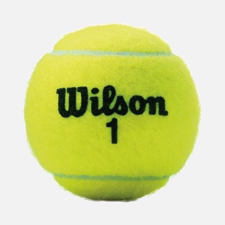 Wilson Championship Extra Duty (3 Pair) Tenis Topu