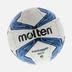 Molten F4V1700 Leather Futbol Topu
