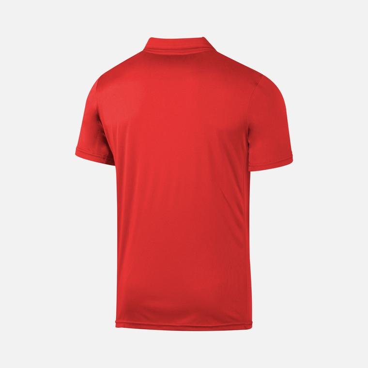 Barçın Basics Polo Collar Tennis Short-Sleeve Erkek Tişört