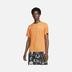 Nike Dri-Fit Miler Top Short Sleeve Erkek Tişört