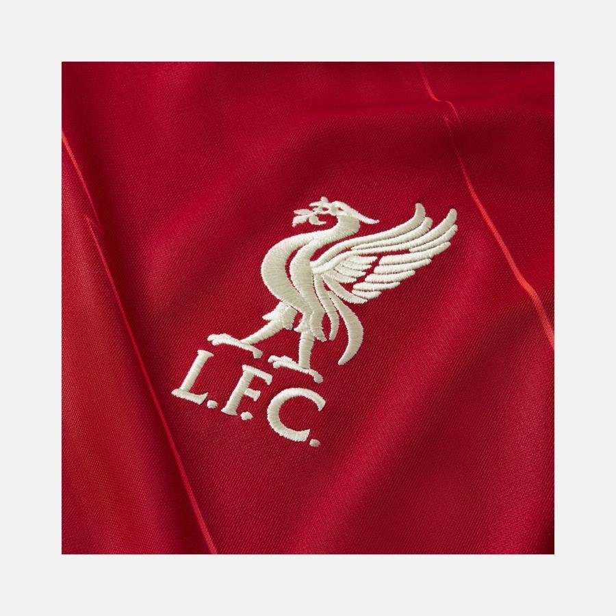  Nike Liverpool FC 2021-2022 Stadyum İç Saha Erkek Forma