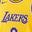  Nike Dri-Fit Los Angeles Lakers Icon Edition 2022-2023 NBA Erkek Forma