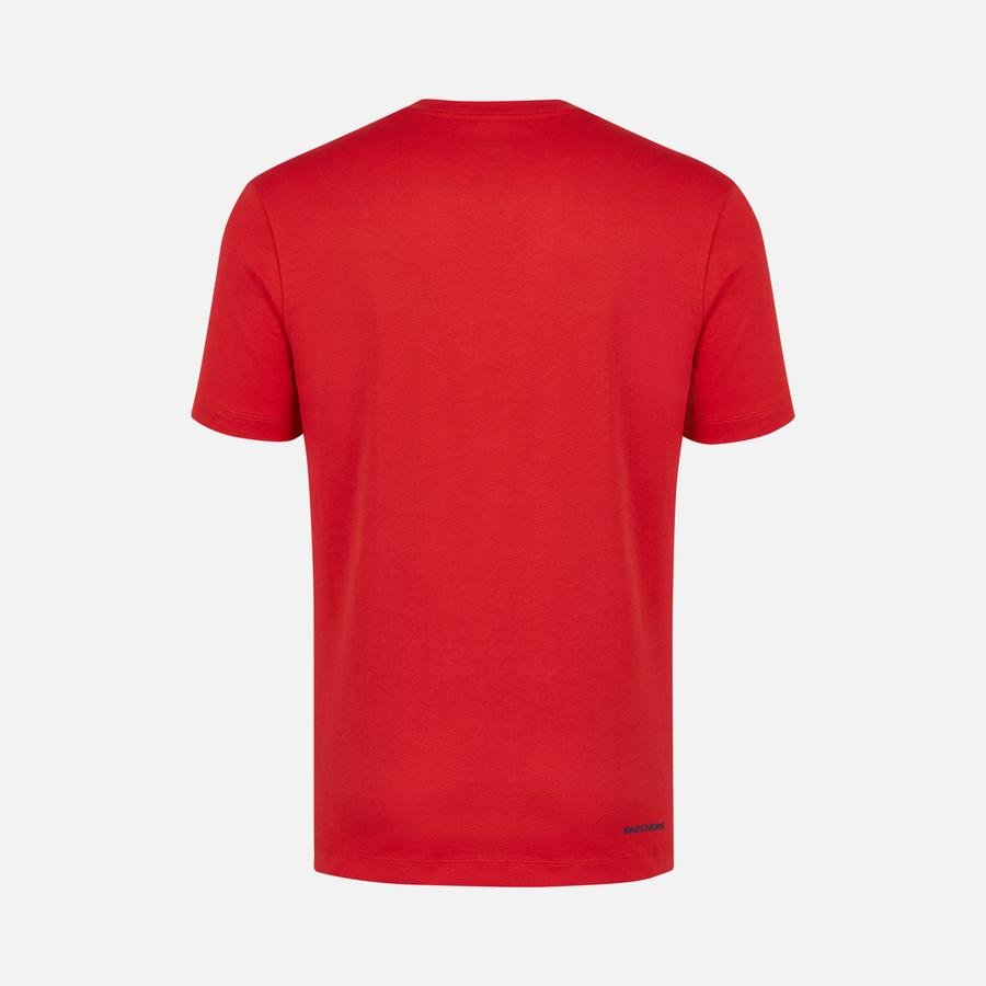  Skechers Sportswear Big Logo Short-Sleeve Erkek Tişört
