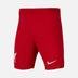 Nike Liverpool FC 2023-2024 Stadyum İç Saha (Boys') Çocuk Şort