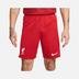 Nike Liverpool F.C. 2022-2024 Stadyum İç Saha Erkek Şort