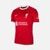 Nike Liverpool F.C. 2023-2024 Stadium İç Saha Erkek Forma