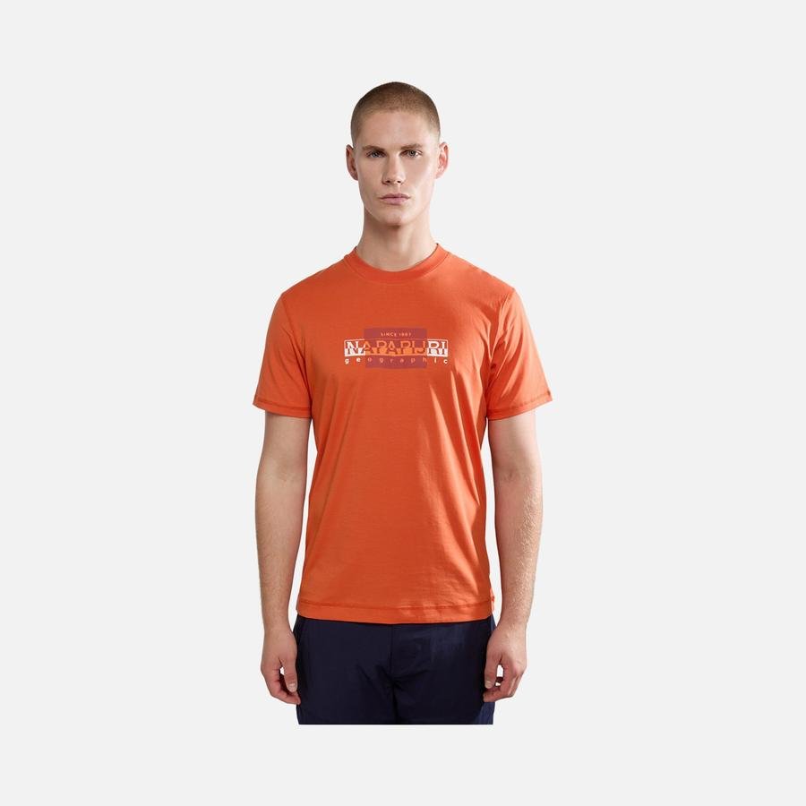  Napapijri Sportswear Smallwood Graphic Short-Sleeve Erkek Tişört