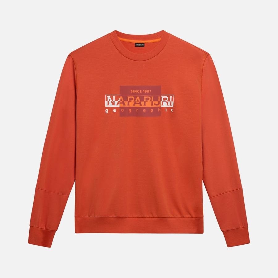  Napapijri Sportswear Smallwood Graphic Erkek Sweatshirt