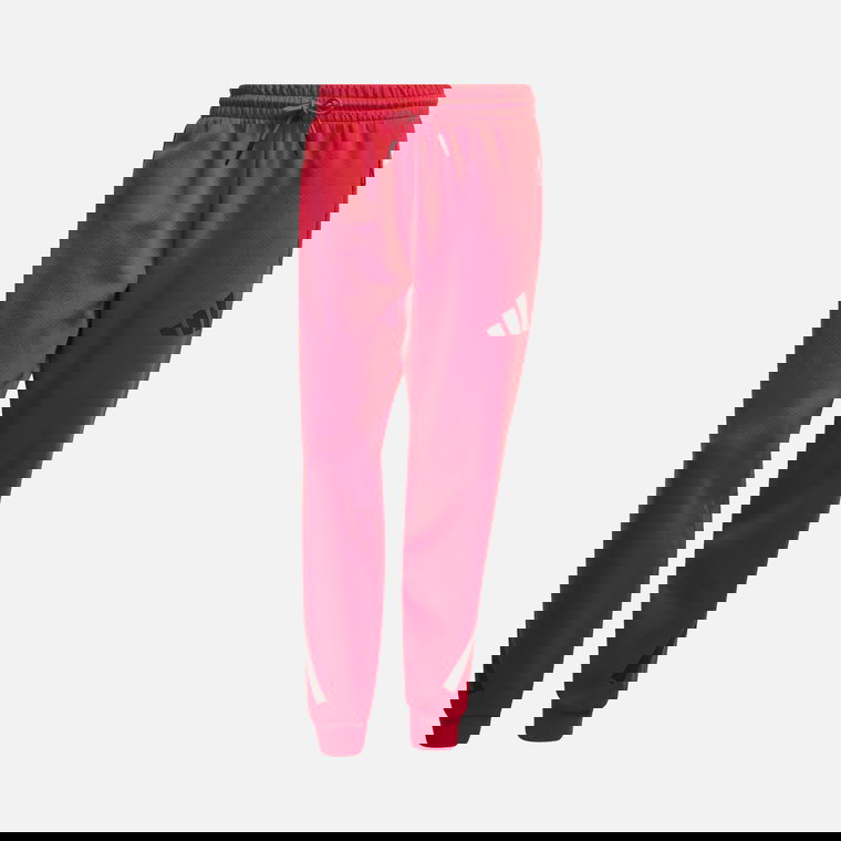 Мужские спортивные штаны adidas Sportswear Z.N.E.